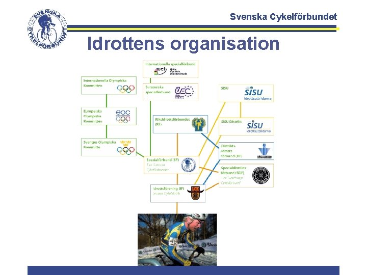 Svenska Cykelförbundet Idrottens organisation 