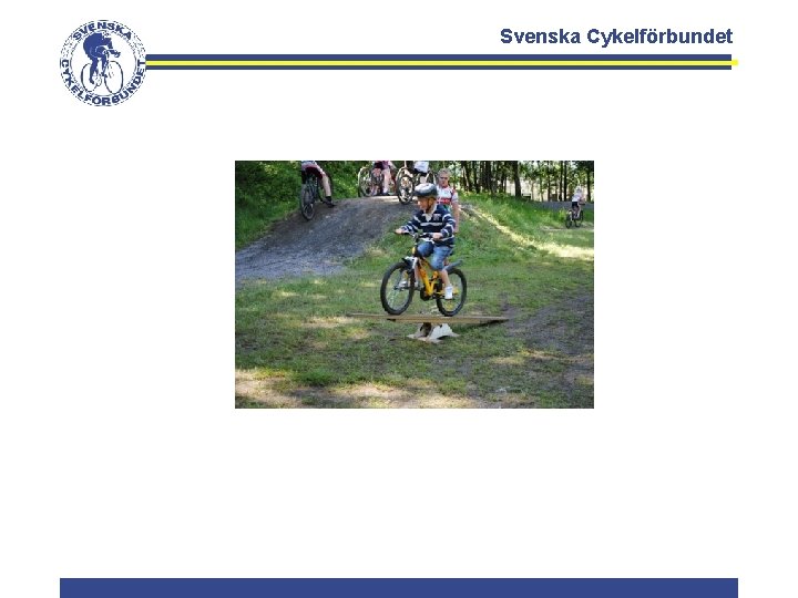 Svenska Cykelförbundet 