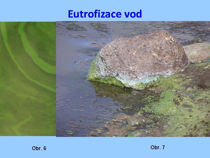 Eutrofizace vod Obecně – proces znehodnocení a zhoršování kvality povrchové vody (stojatých a tekoucích)