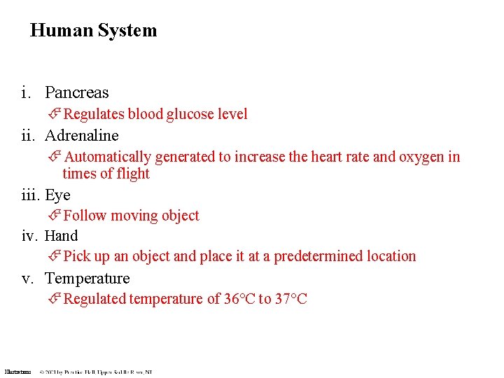 Human System i. Pancreas Regulates blood glucose level ii. Adrenaline Automatically generated to increase Human System i. Pancreas Regulates blood glucose level ii. Adrenaline Automatically generated to increase