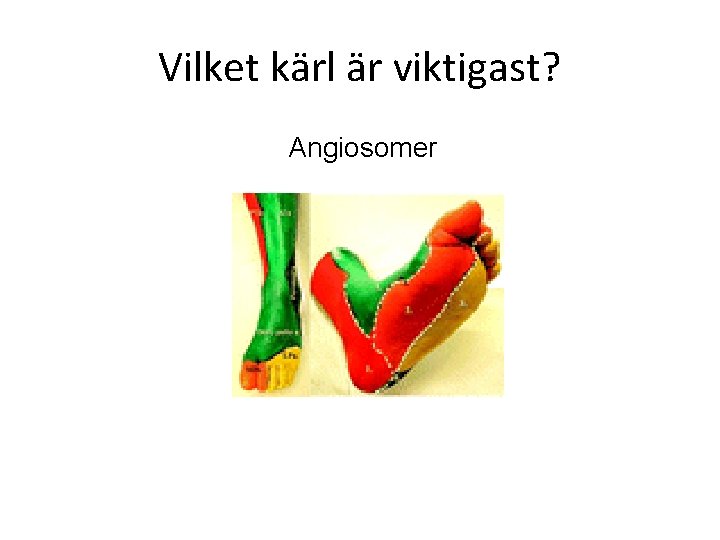 Vilket kärl är viktigast? Angiosomer 