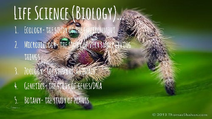 Life Science (Biology)… 1. Ecology- the study of the environment 2. Microbiology- the study