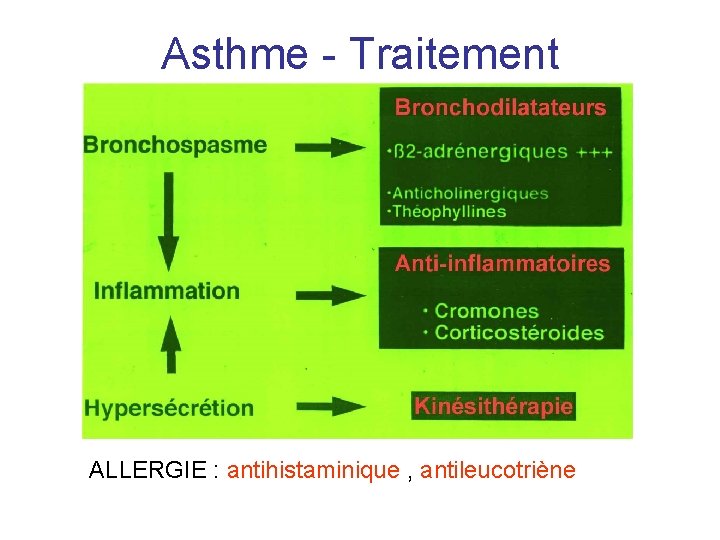 Asthme - Traitement ALLERGIE : antihistaminique , antileucotriène 