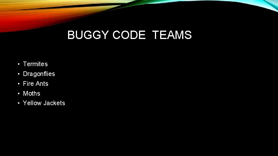 BUGGY CODE TEAMS • Termites • Dragonflies • Fire Ants • Moths • Yellow