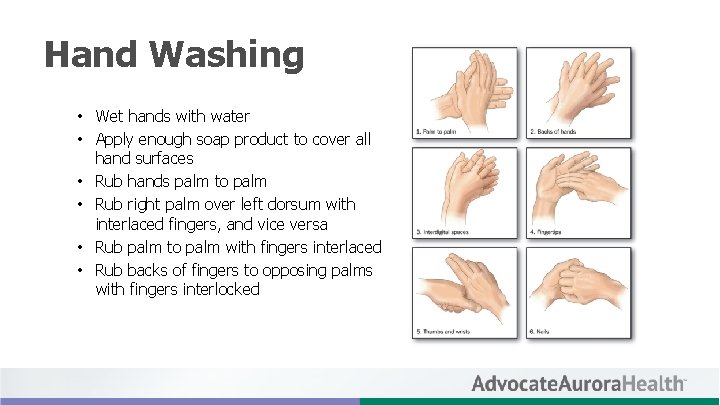 Hand Washing • Wet hands with water • Apply enough soap product to cover