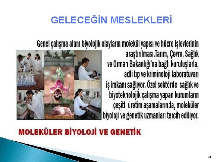 GELECEĞİN MESLEKLERİ 31 