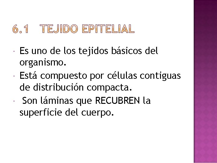  Es uno de los tejidos básicos del organismo. Está compuesto por células contiguas