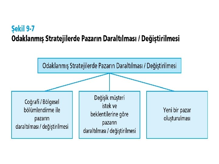 © Ülgen&Mirze 2004 