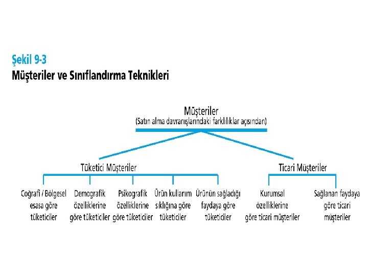 © Ülgen&Mirze 2004 