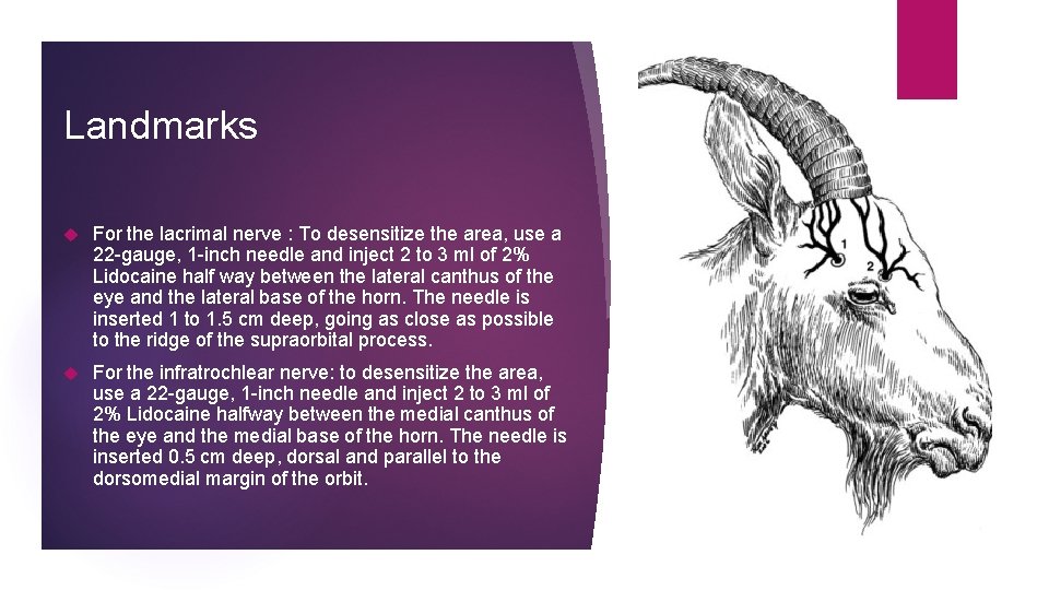 Landmarks For the lacrimal nerve : To desensitize the area, use a 22 -gauge,