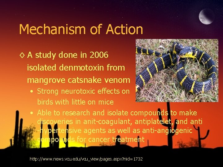 Mechanism of Action ◊ A study done in 2006 isolated denmotoxin from mangrove catsnake