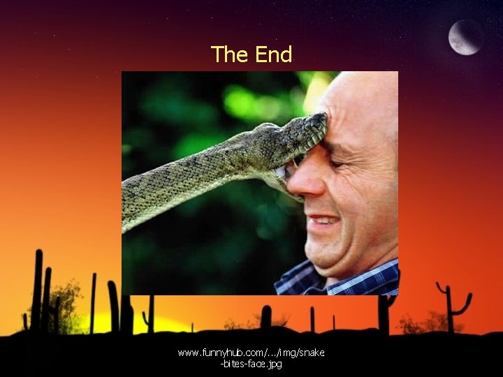 The End www. funnyhub. com/. . . /img/snake -bites-face. jpg 