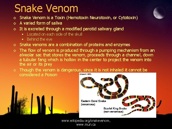 Snake Venom ◊ Snake Venom is a Toxin (Hemotoxin Neurotoxin, or Cytotoxin) ◊ A