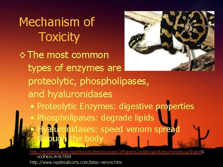 Mechanism of Toxicity ◊ The most common types of enzymes are proteolytic, phospholipases, and