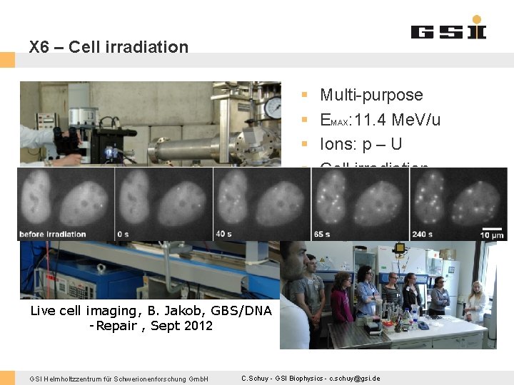 X 6 – Cell irradiation § § § Multi-purpose EMAX: 11. 4 Me. V/u