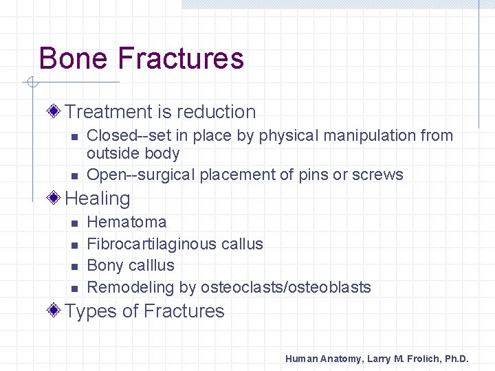 Bone Fractures Treatment is reduction n n Closed--set in place by physical manipulation from