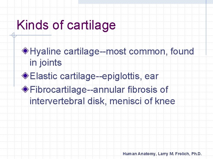 Kinds of cartilage Hyaline cartilage--most common, found in joints Elastic cartilage--epiglottis, ear Fibrocartilage--annular fibrosis