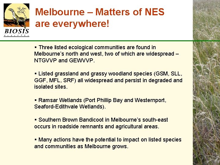 Melbourne – Matters of NES are everywhere! § Three listed ecological communities are found