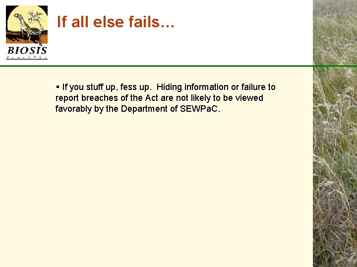 If all else fails… § If you stuff up, fess up. Hiding information or