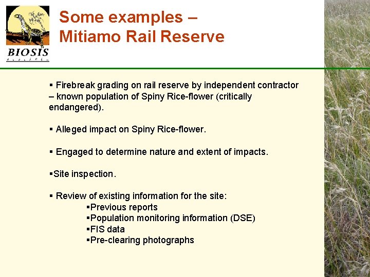 Some examples – Mitiamo Rail Reserve § Firebreak grading on rail reserve by independent