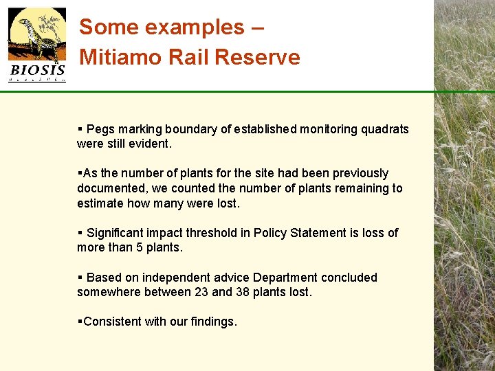 Some examples – Mitiamo Rail Reserve § Pegs marking boundary of established monitoring quadrats