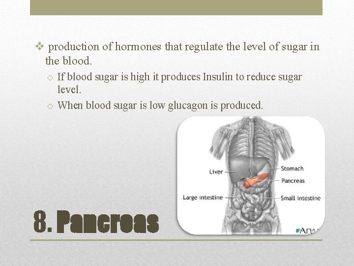 v production of hormones that regulate the level of sugar in the blood. o