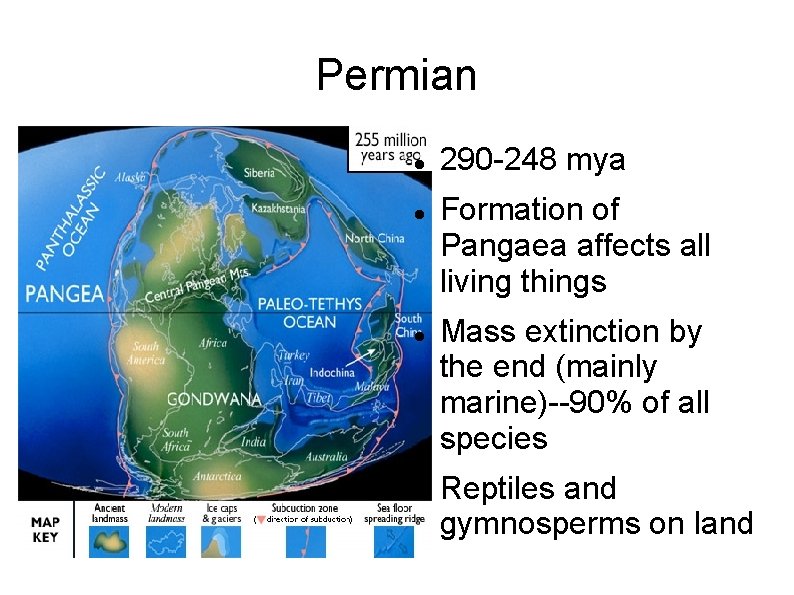 Permian 290 -248 mya Formation of Pangaea affects all living things Mass extinction by