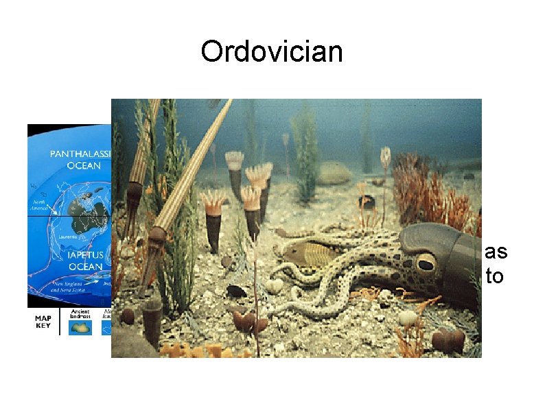 Ordovician 490 -443 mya Primitive fish, cephalopods, trilobites, corals, crinoids Climate warm, but as