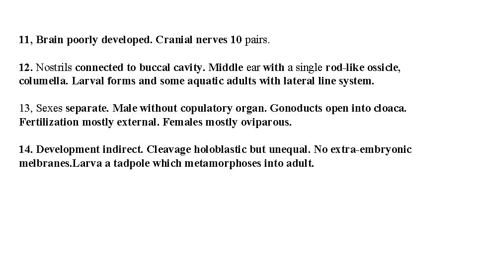 11, Brain poorly developed. Cranial nerves 10 pairs. 12. Nostrils connected to buccal cavity.