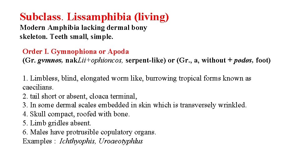 Subclass. Lissamphibia (living) Modern Amphibia lacking dermal bony skeleton. Teeth small, simple. Order I.