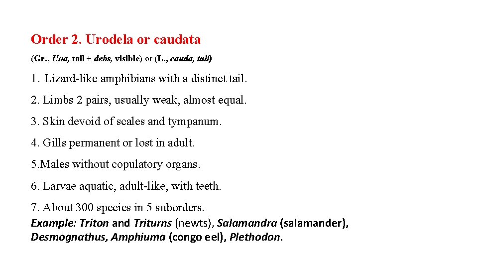 Order 2. Urodela or caudata (Gr. , Una, tail + debs, visible) or (L.