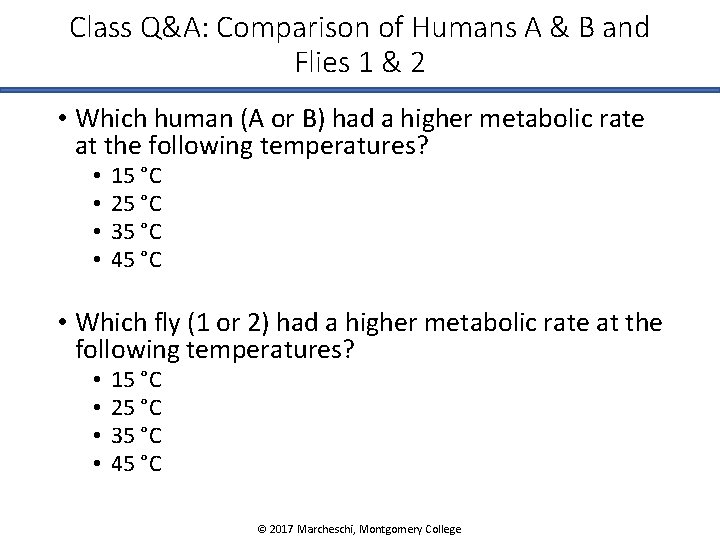 Class Q&A: Comparison of Humans A & B and Flies 1 & 2 •