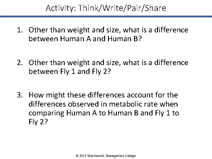 Activity: Think/Write/Pair/Share 1. Other than weight and size, what is a difference between Human