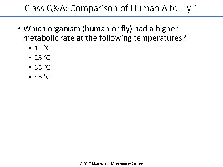 Class Q&A: Comparison of Human A to Fly 1 • Which organism (human or