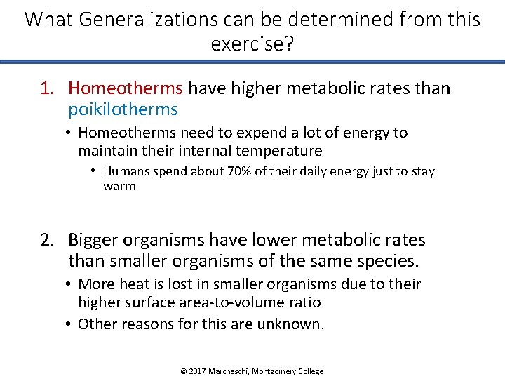 What Generalizations can be determined from this exercise? 1. Homeotherms have higher metabolic rates