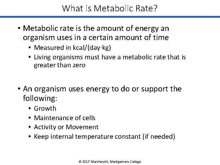 What is Metabolic Rate? • Metabolic rate is the amount of energy an organism