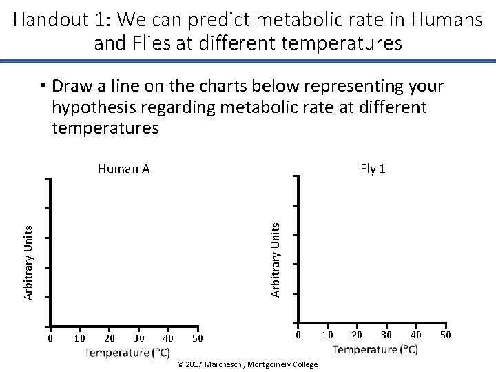 Handout 1: We can predict metabolic rate in Humans and Flies at different temperatures