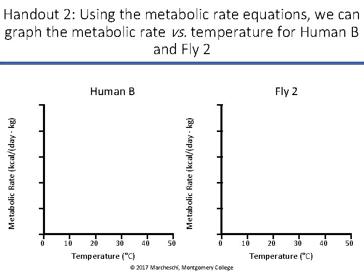 Handout 2: Using the metabolic rate equations, we can graph the metabolic rate vs.