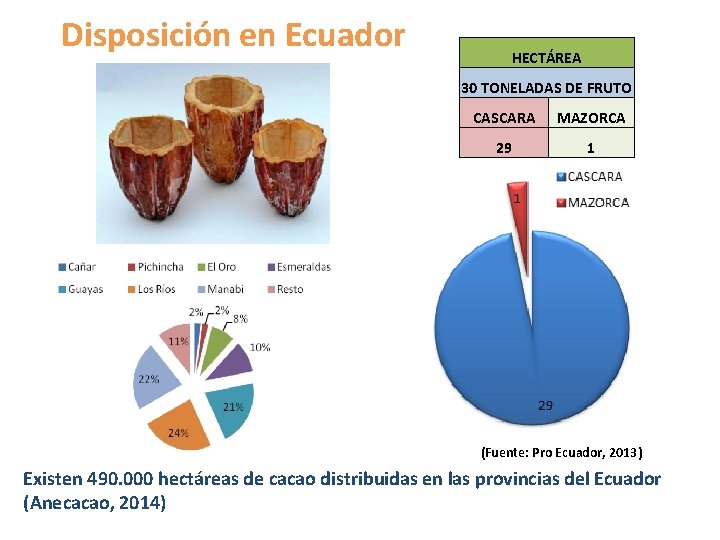 Disposición en Ecuador HECTÁREA 30 TONELADAS DE FRUTO CASCARA MAZORCA 29 1 (Fuente: Pro