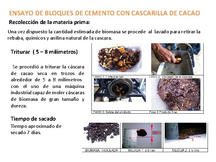ENSAYO DE BLOQUES DE CEMENTO CON CASCARILLA DE CACAO Recolección de la materia prima: