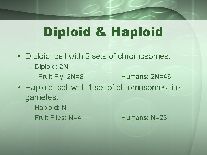 Meiosis Chromosome Number The two sets of chromosomes