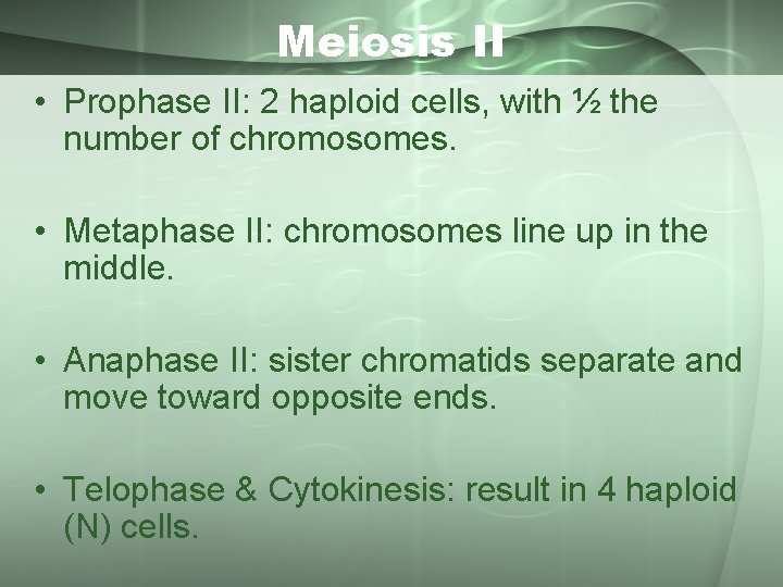 Meiosis II • Prophase II: 2 haploid cells, with ½ the number of chromosomes.