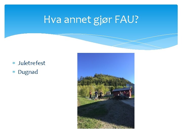 Hva annet gjør FAU? Juletrefest Dugnad 