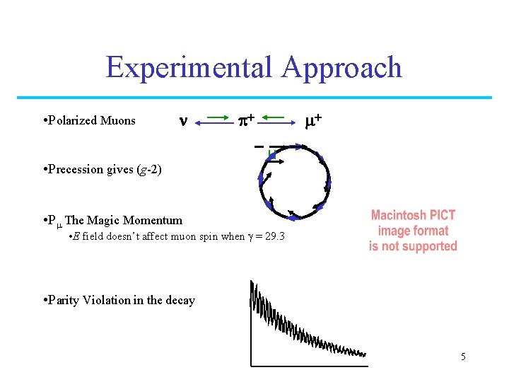 Experimental Approach • Polarized Muons n • Precession gives (g-2) p+ m+ µ •