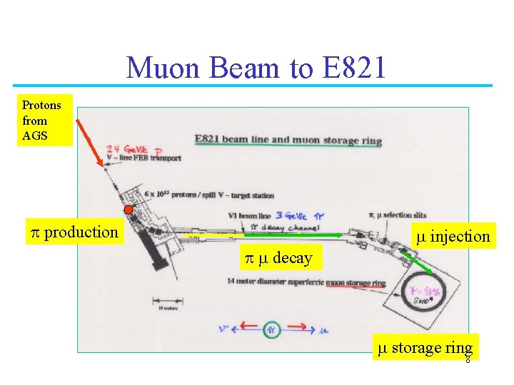 Muon Beam to E 821 Protons from AGS p production m injection p m