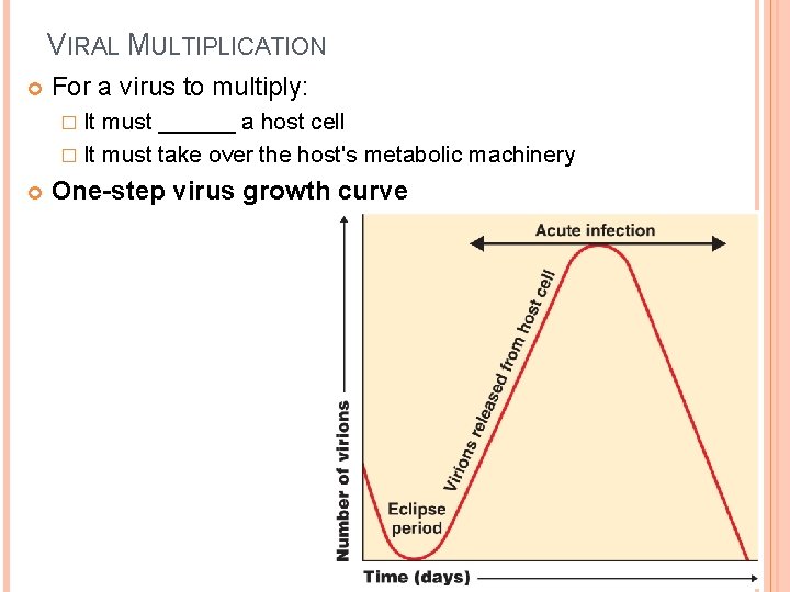 VIRAL MULTIPLICATION For a virus to multiply: � It must ______ a host cell