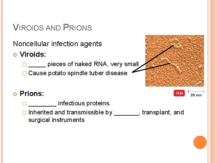 VIROIDS AND PRIONS Noncellular infection agents Viroids: � _____ pieces of naked RNA, very