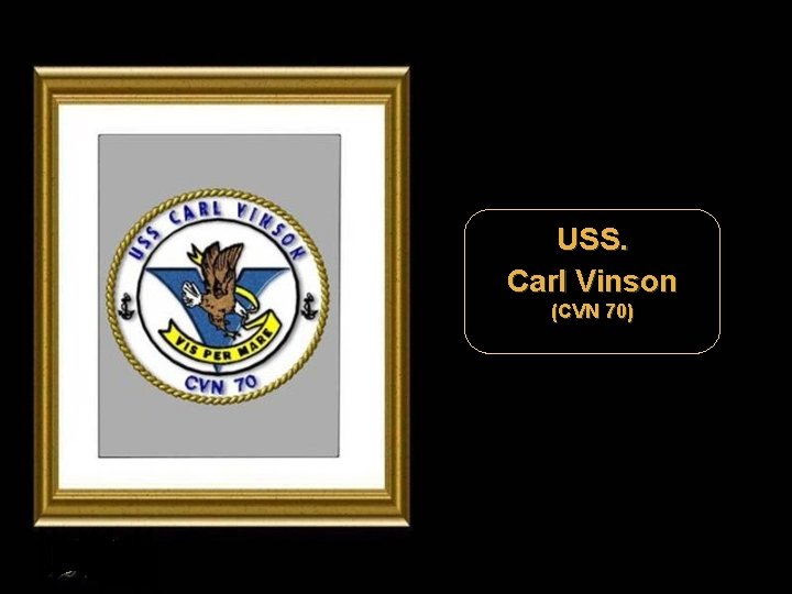 USS. Carl Vinson (CVN 70) 