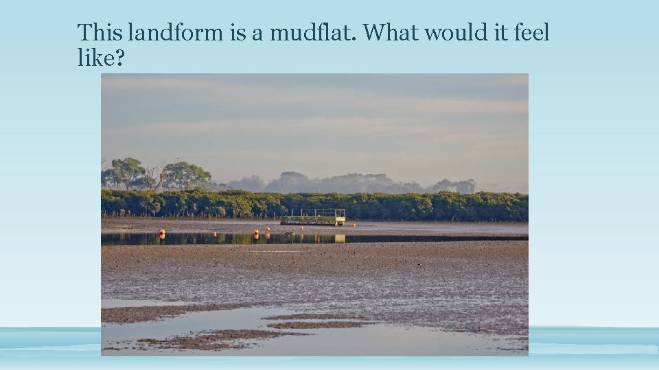 This landform is a mudflat. What would it feel like? 