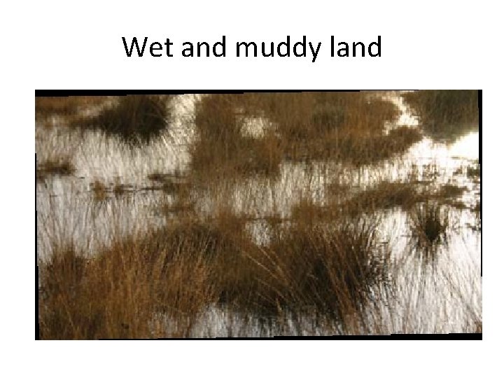 Wet and muddy land 